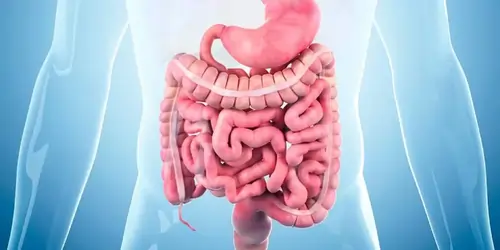 ઇરીટેબલ બોવેલ સિન્ડ્રોમ