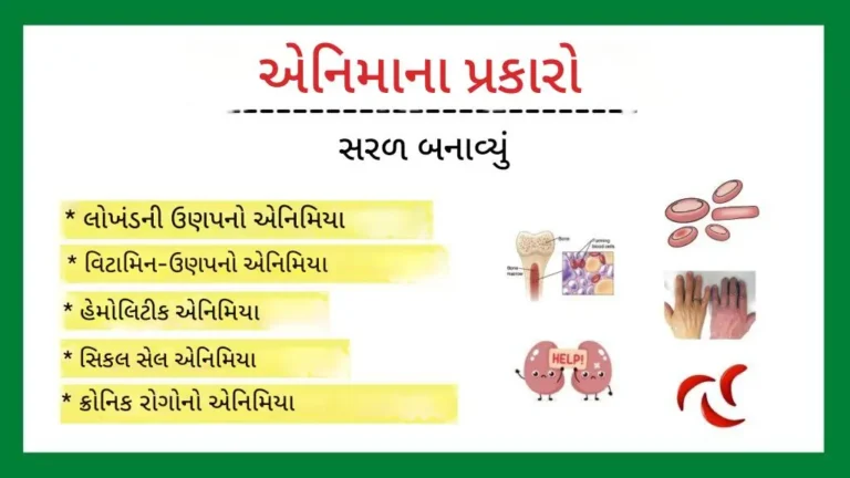 એનિમિયા ના કેટલા પ્રકારના છે
