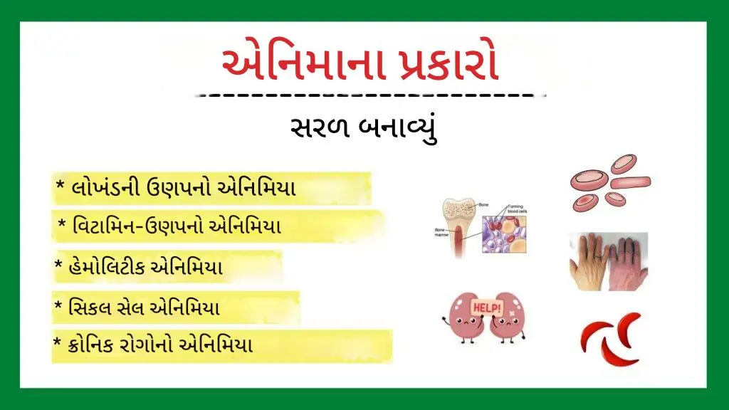 એનિમિયા ના કેટલા પ્રકારના છે