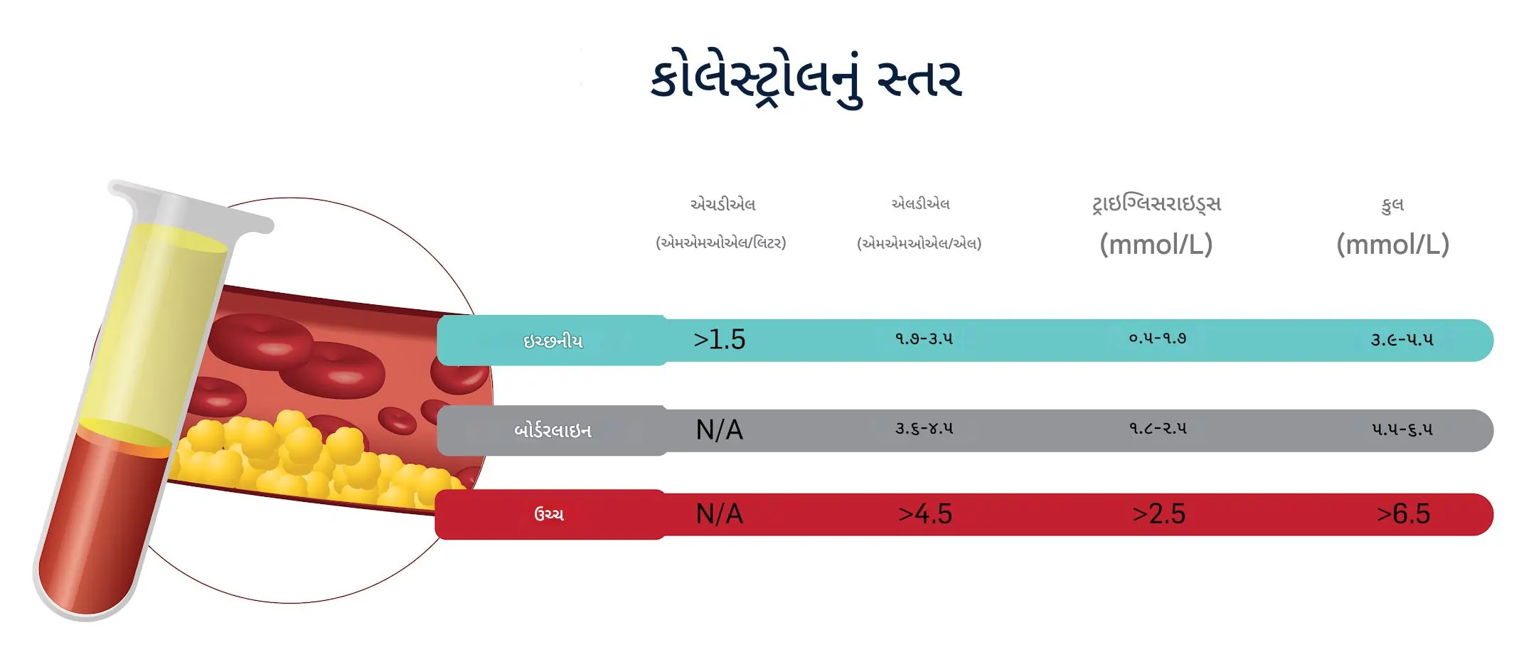 કોલેસ્ટ્રોલ કેટલું હોવું જોઈએ