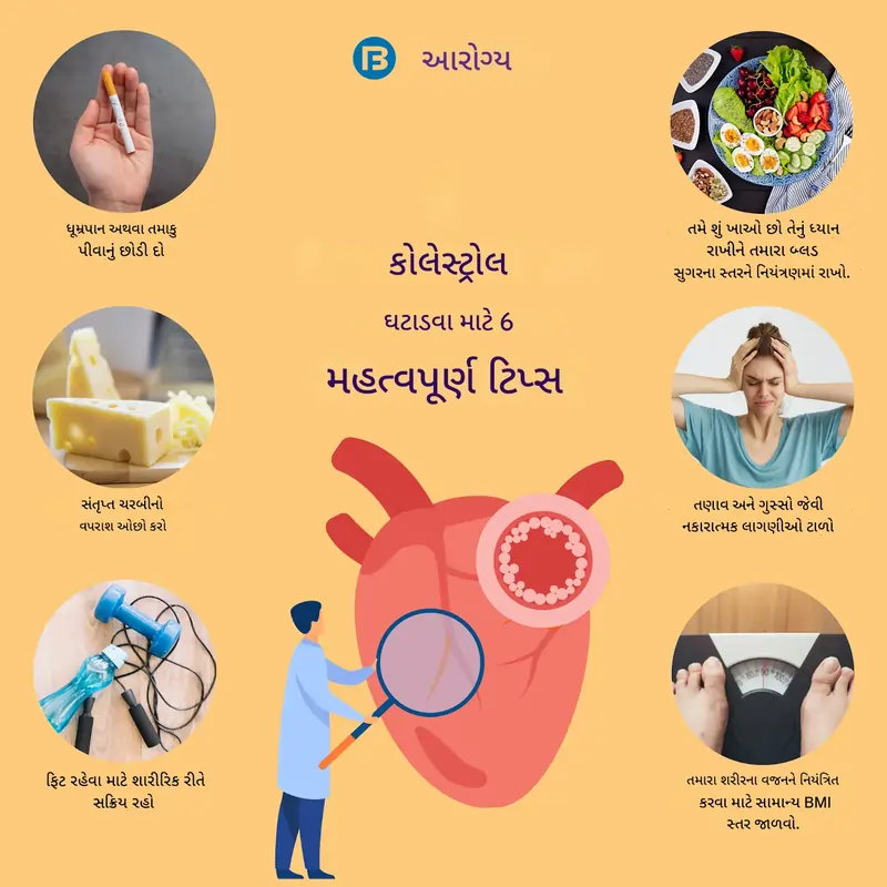 કોલેસ્ટ્રોલ ઘટાડવાના ઉપાયો