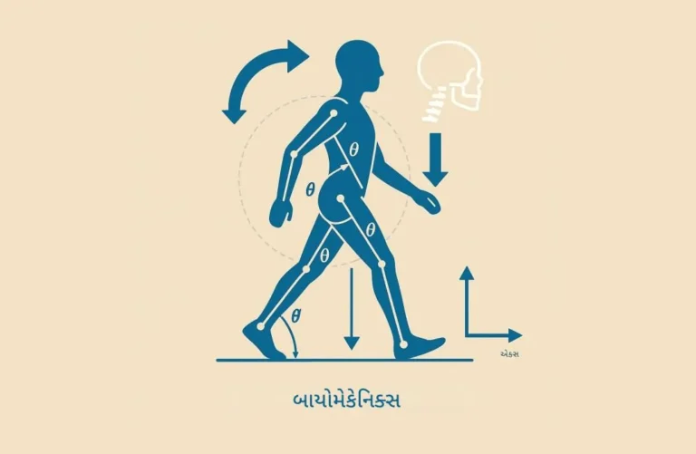 બાયોમિકેનિક્સ