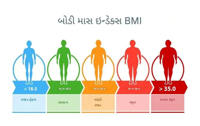 શરીર વજન અનુક્રમ