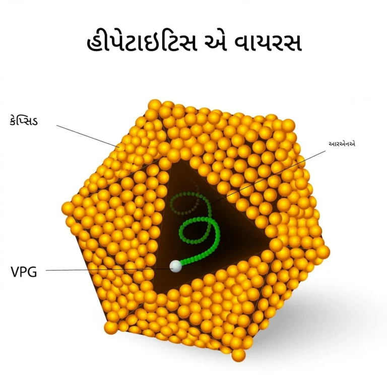 હિપેટાઇટિસ A વાયરસ