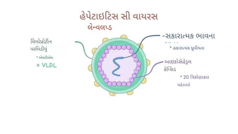 હિપેટાઇટિસ C વાયરસ