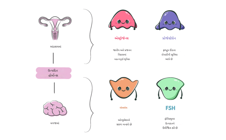 હોર્મોન્સ