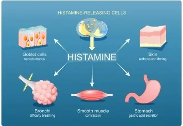 હિસ્ટામાઇન (Histamine)