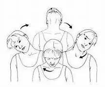 ગરદન રોલ્સ