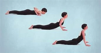 મેકેન્ઝી એક્સ્ટેંશન