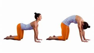 કેટ-કાઉ સ્ટ્રેચ