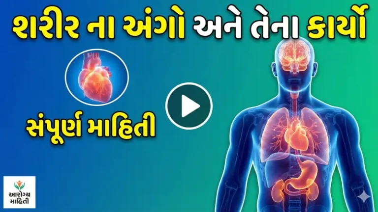 શરીર ના અંગો અને તેના કાર્યો