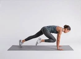 માઉન્ટેન ક્લાઇમ્બર્સ