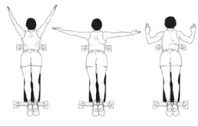 પ્રોન Y-T-W