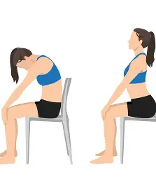 સીટેડ કેટ-કાઉ સ્ટ્રેચ