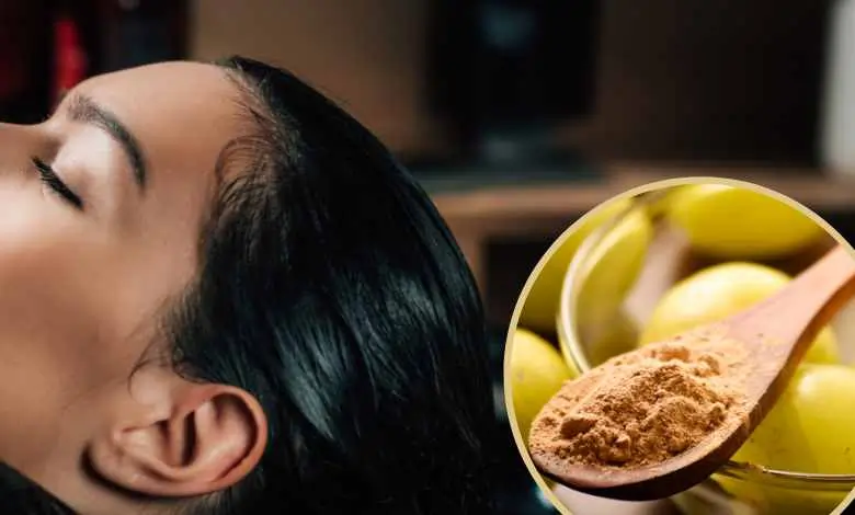 ત્વચા અને વાળના સ્વાસ્થ્ય માટે આયુર્વેદિક ટીપ્સ.