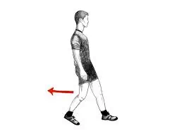 પાછળ ચાલવું