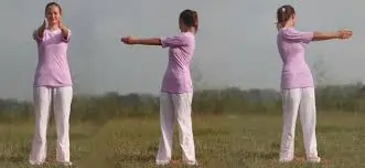 સ્ટેન્ડિંગ સ્પાઇનલ ટ્વિસ્ટ