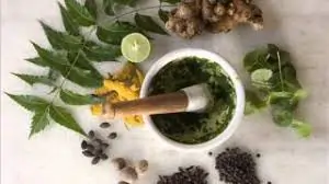 હળવા દુખાવા માટે ઘરે બનાવી શકાય તેવા લેપ.