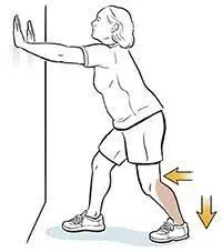 સોલિયસ સ્ટ્રેચ