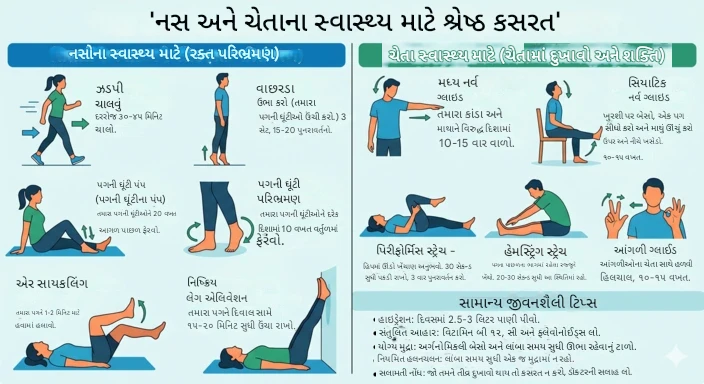 નસ ના સ્વાસ્થ્યને સુધારવાની સંપૂર્ણ માર્ગદર્શિકા ચેતાઓ (Nerves) અને શિરાઓ (Veins) માટે શ્રેષ્ઠ વ્યાયામ