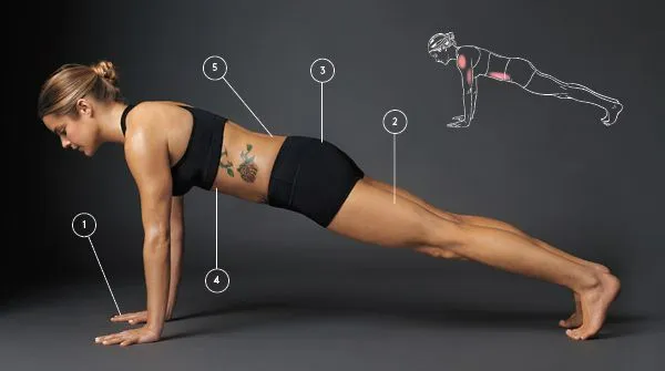 પ્લેન્ક (Plank) કસરત કરવાની સાચી રીત અને તેનાથી કમરના સ્નાયુઓને થતા ફાયદા.