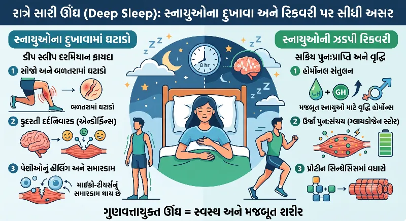રાત્રે સારી ઊંઘ (Deep Sleep) લેવાથી સ્નાયુઓના દુખાવા અને રિકવરી પર થતી સીધી અસર