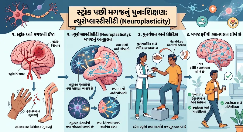 સ્ટ્રોક પછી Neuroplasticityથી રિકવરી કેવી રીતે સુધારવી